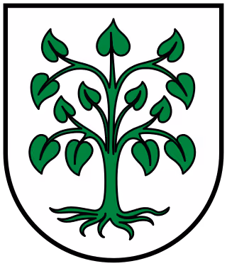 Wappen von Schutterwald