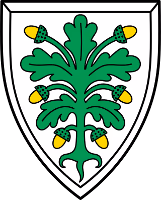 Wappen von Aichach, St