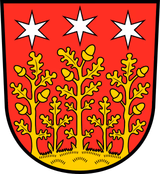 Wappen von Reichelsheim (Odenwald)
