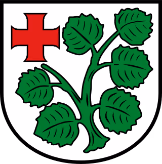 Wappen von Schenklengsfeld