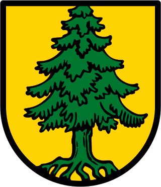 Wappen von Tann (Rhön)