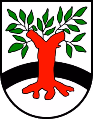 Wappen von Surwold