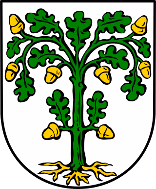 Wappen von Rinnthal