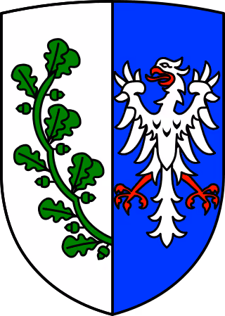 Wappen von Saalstadt