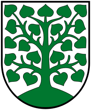 Wappen von Homburg
