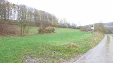 Zwangsversteigerung Landwirtschaft in Ludwigsau, Oberthalhausen – Oberthalhausen Flur 3, Flurstück 1 mit Blick auf den Feldweg.