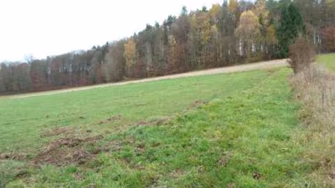 Zwangsversteigerung Landwirtschaft in Ludwigsau, Oberthalhausen – Oberthalhausen Flur 6, Flurstück 48/2 landwirtschaftliche Fläche.