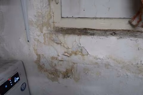 Zwangsversteigerung Einfamilienhaus in Westerstede – Sichtbarer Feuchtigkeitsschaden an der Wand im Kellergeschoss.