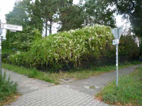 Zwangsversteigerung Einfamilienhaus in Berlin, Altglienicke – Ansicht des Eckgrundstücks von der Straßenecke aus.