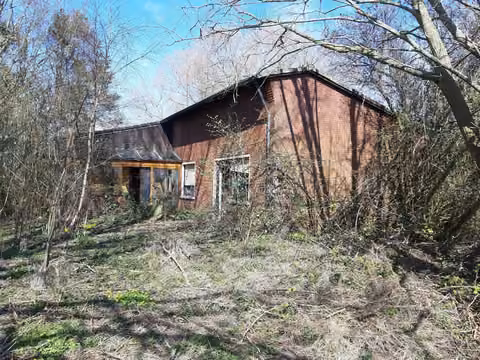 Zwangsversteigerung Einfamilienhaus in Krummhörn, Pewsum – Rückansicht des Einfamilienhauses inmitten von Bewuchs.