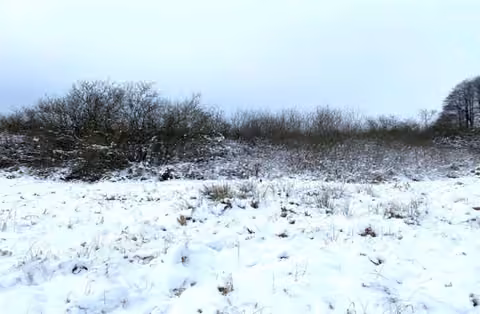 Zwangsversteigerung in Wandlitz, Klosterfelde – Blickrichtung West auf das schneebedeckte Flurstück 227.
