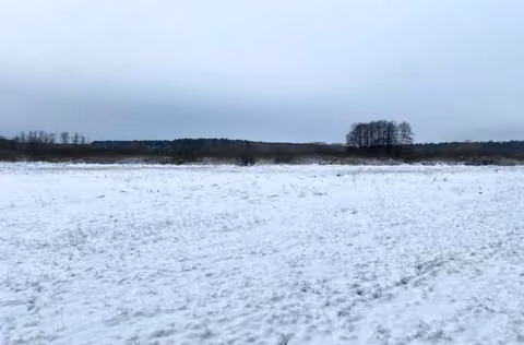 Zwangsversteigerung in Wandlitz, Klosterfelde – Blickrichtung Nordwest auf die verbuschte Teilfläche Unland des Flurstücks 227.