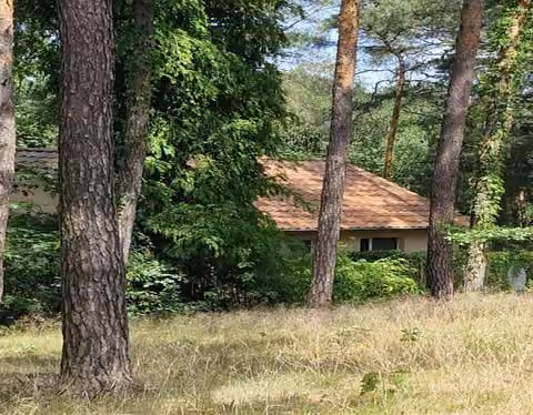 Zwangsversteigerung in Nuthe-Urstromtal, Dobbrikow – Außenansicht des Grundstücks und Bewuchses mit Gebäude im Hintergrund.