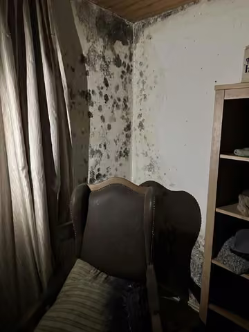 Zwangsversteigerung Eigentumswohnung in Hürtgenwald, Vossenack – Starke Schimmelpilzbildung an den Wänden eines Wohnraums.