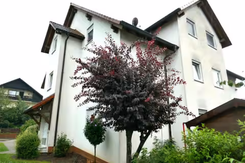 Zwangsversteigerung Eigentumswohnung in Großostheim, Pflaumheim – Eingangsbereich des Mehrfamilienhauses mit Vordach.