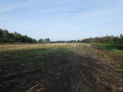 Zwangsversteigerung Landwirtschaft in Neuscharrel – Ansicht des Flurstücks 152 mit nasser Bodenfläche.