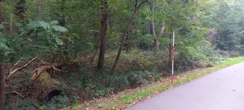 Zwangsversteigerung Landwirtschaft in Bonn, Kessenich – Blick in das Bestandesinnere in Richtung Nord mit angrenzendem Gehweg.