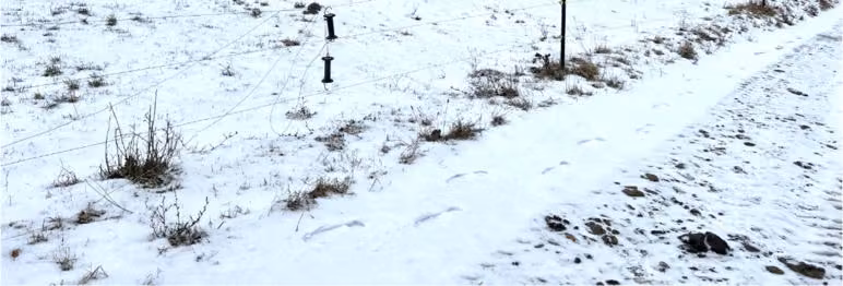 Zwangsversteigerung Landwirtschaft in Bad Berka, Gutendorf – Zufahrt zum Grundstück über einen unbefestigten Feldweg.