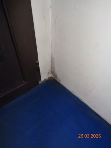 Zwangsversteigerung Einfamilienhaus in Apolda – Stockflecken und Schwarzschimmel im Windfangbereich.