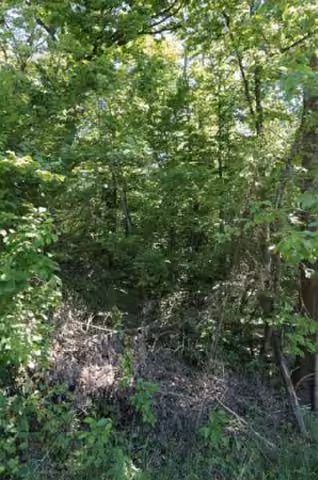 Zwangsversteigerung in Maxhütte-Haidhof, Leonberg – Südwestlicher Bereich des Grundstücks mit steiler Böschung Richtung Nordosten.