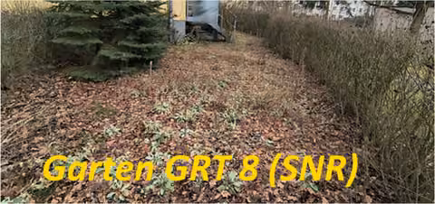 Zwangsversteigerung Eigentumswohnung in Berlin, Köpenick – Hofseitige Ansicht der Wohnanlage mit Balkonen und Gartenflächen.
