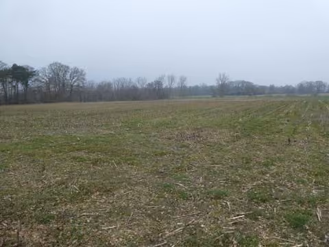 Zwangsversteigerung Landwirtschaft in Barßel, Reeken – Blick über die landwirtschaftliche Ackerfläche Flurstück 61/5.