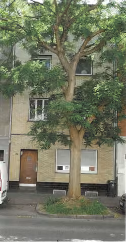 Zwangsversteigerung Mehrfamilienhaus in Düren – Vorderansicht der Straßenfassade des Mehrfamilienhauses Zülpicher Straße 34.