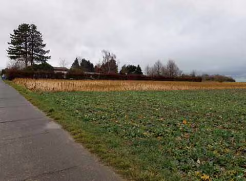 Zwangsversteigerung in Erftstadt, Herrig – Blick in Richtung Nordwesten auf das Bewertungsgrundstück Flurstück 250.