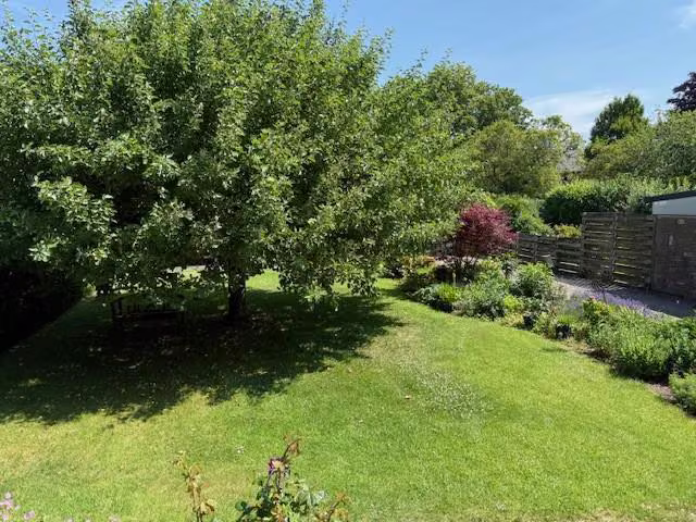 Zwangsversteigerung Doppelhaushälfte in Isselburg – Gartenbereich mit Bepflanzung und Rasenfläche.