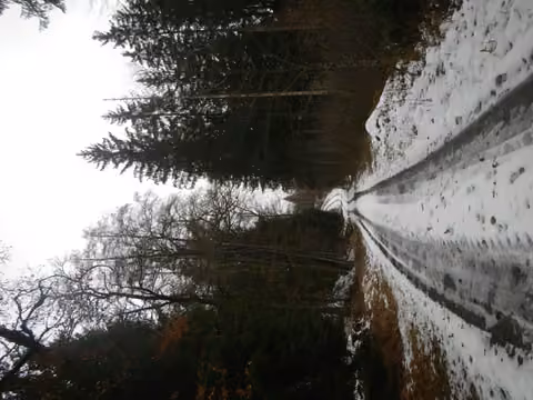 Zwangsversteigerung Grundstück in Schönberg, Eberhardsreuth – LKW-fahrbarer Forstweg entlang der Grundstücksgrenze.