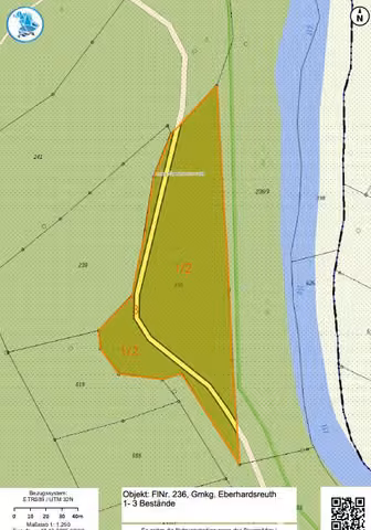 Zwangsversteigerung Grundstück in Schönberg, Eberhardsreuth – Bestandeskarte des Flurstücks 236.