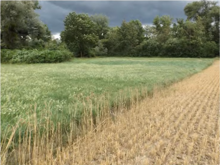 Zwangsversteigerung Landwirtschaft in Niederviehbach – Flurstück 3143, gewelltes Grünland, Blick von Norden nach Südosten.