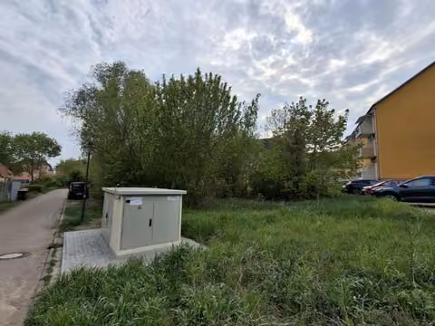 Zwangsversteigerung Grundstück in Angermünde – Frontansicht des unbebauten und bewachsenen Grundstücks von der Straße.
