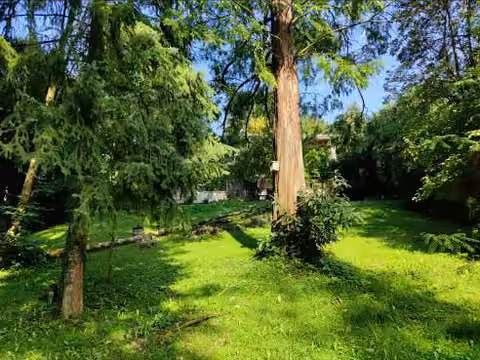 Zwangsversteigerung Einfamilienhaus in Brachttal, Spielberg – Ansicht des zugehörigen Gartengrundstücks Flurstück 116 mit Baumbestand.