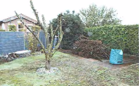 Zwangsversteigerung Doppelhaushälfte in Langenberg – Ostansicht des Wohnhauses mit Terrasse und Gartenbereich.