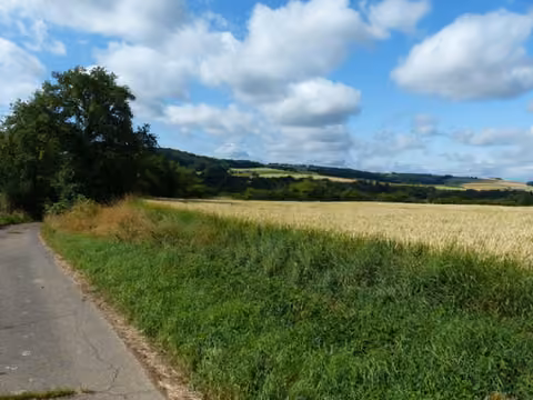 Zwangsversteigerung Landwirtschaft in Kobern-Gondorf, Gondorf – Weiterer Blickwinkel auf die bewirtschaftete Ackerfläche Flurstück 98.