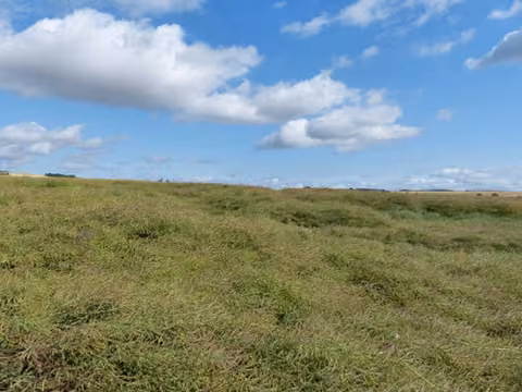Zwangsversteigerung Landwirtschaft in Kobern-Gondorf, Gondorf – Freie Sicht über die Ackerfläche von Flurstück 71/4 (Aufm Plenzer).