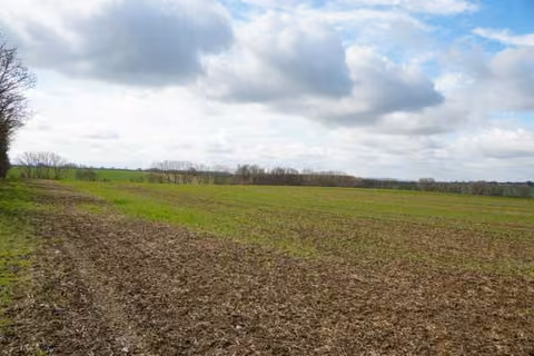 Zwangsversteigerung Landwirtschaft in Stadt Wanzleben-Börde, Klein Wanzleben – Blick in südlicher Richtung über die Ackerfläche.