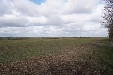 Zwangsversteigerung Landwirtschaft in Stadt Wanzleben-Börde, Klein Wanzleben – Blick in nördlicher Richtung über das Flurstück.