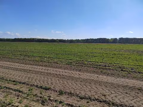 Zwangsversteigerung Einfamilienhaus in Kuhstorf – Ansicht der landwirtschaftlichen Ackerfläche von Flurstück 384.