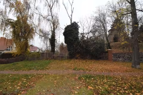 Zwangsversteigerung in Burg – Grundstücksfläche mit Laub und Baumbestand.