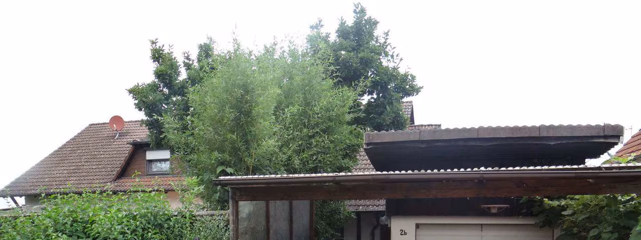Zwangsversteigerung Eigentumswohnung in Lichtenfels, Trieb – Süd-Ansicht des Wohngebäudes mit Hofbereich und Carport.