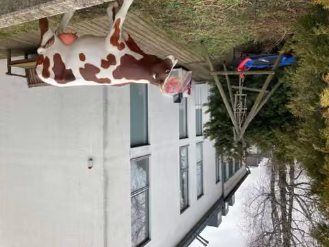 Zwangsversteigerung Eigentumswohnung in München, Gern / Neuhausen-Nymphenburg – Garten- und Terrassenbereich der Erdgeschosswohnung.