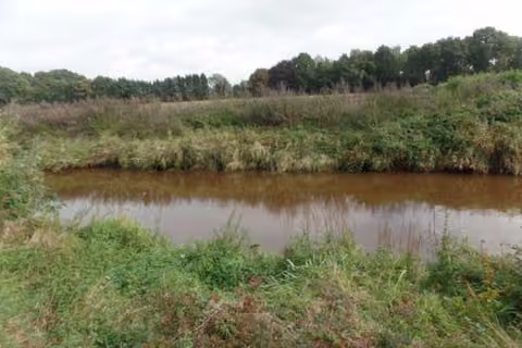 Zwangsversteigerung Doppelhaushälfte in Saterland, Scharrel – Blick vom Garten auf das angrenzende Gewässer Sagter Ems