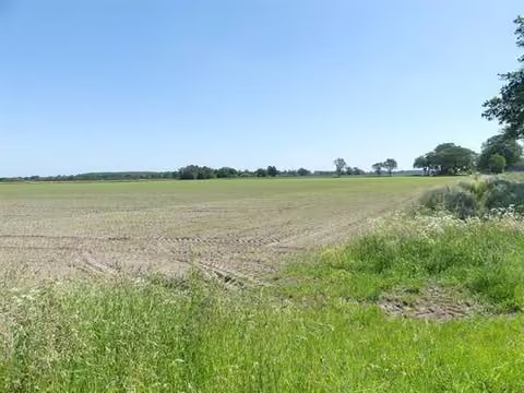 Zwangsversteigerung Landwirtschaft in Drebber – Ackerfläche Blick von Nord-West in südliche Richtung
