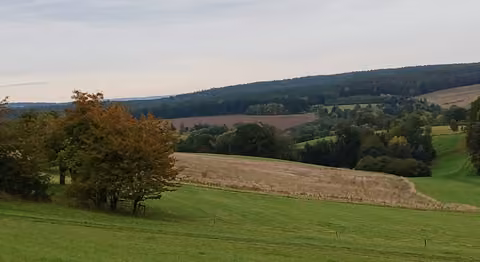 Zwangsversteigerung Landwirtschaft in Kraftsdorf, Harpersdorf – Landschaftsansicht der landwirtschaftlichen Flächen mit angrenzenden Hängen