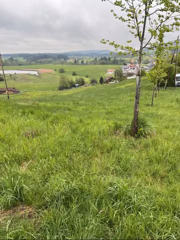 Zwangsversteigerung Landwirtschaft in Steingaden – Blick vom oberen Grundstücksteil hangabwärts über die Weide und Steingaden.