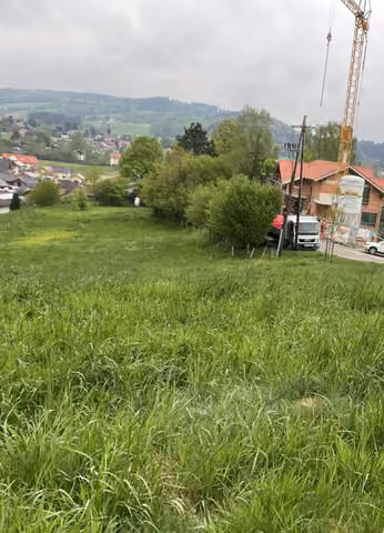 Zwangsversteigerung Landwirtschaft in Steingaden – Zufahrtsstreifen 208/1 als Wiese vor der Bebauung an der Straße Auf der Egg.