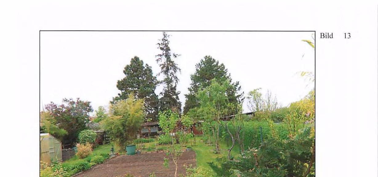 Zwangsversteigerung in Schönewalde – Gartenland Flurstück 53 in gepflegtem Zustand.