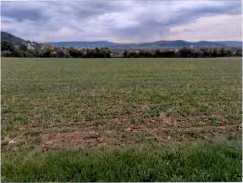 Zwangsversteigerung Landwirtschaft in Gründau, Lieblos – Ackerfläche des Flurstücks 98 mit Blick auf die Hügel